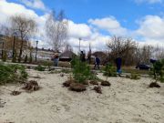 photo2025-03-3113-18-14-3