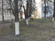 photo2025-03-2115-46-56