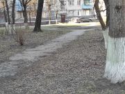photo2025-03-2115-46-58