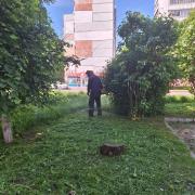 DuifAcF5g6QnSgdilHk1P6bXmCWv45oZgNoBTO-bbJdcszrFzWQ67P-oJZkPNzSfChyy7nZkfVmF53W-CHKiRcaY